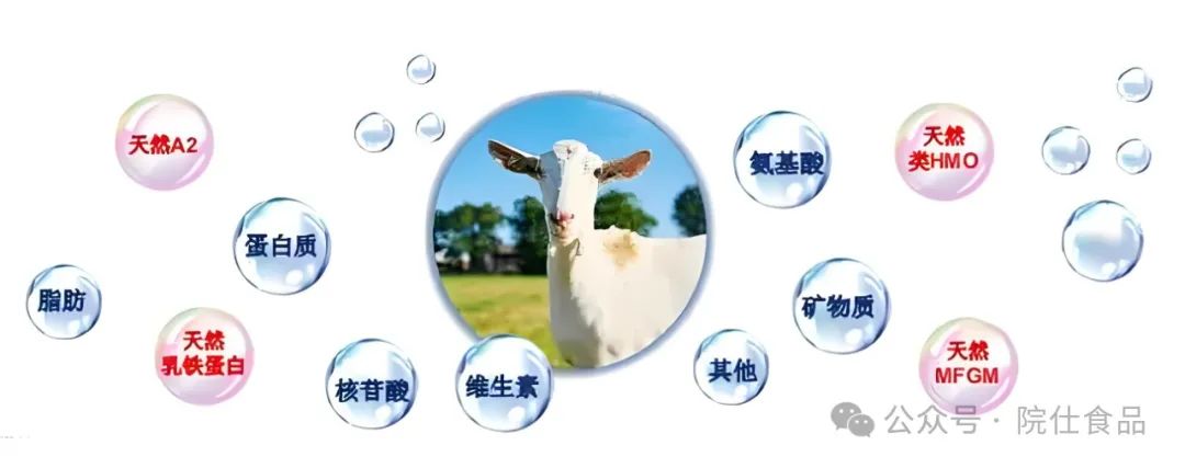 中老年如何补硒减肥最好