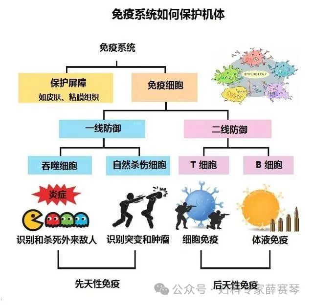 平时可以补麦芽硒吗女性