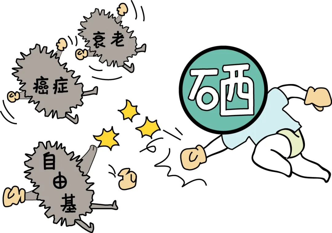 女性怎样合理补硒元素呢
