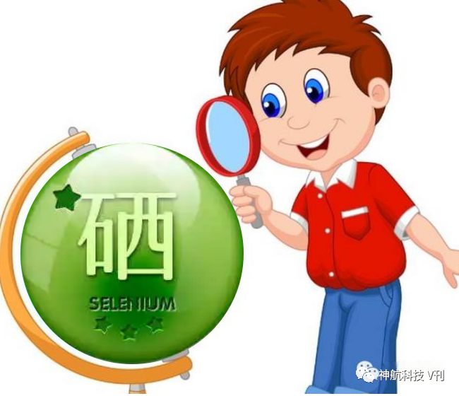 什么年龄补硒最好吸收好