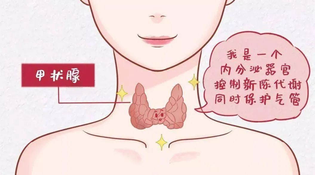 桥本氏甲状腺炎补硒剂量