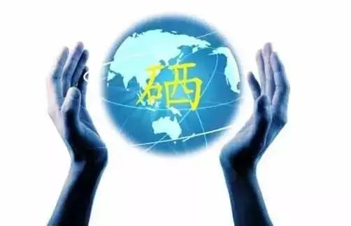 全民科学补硒的意义是指