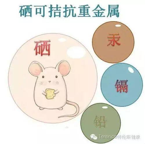 中年人每天补硒多少毫克