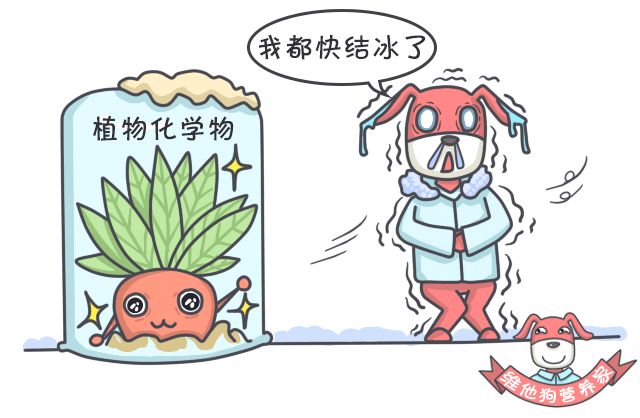 吃什么蔬菜水果可以补硒