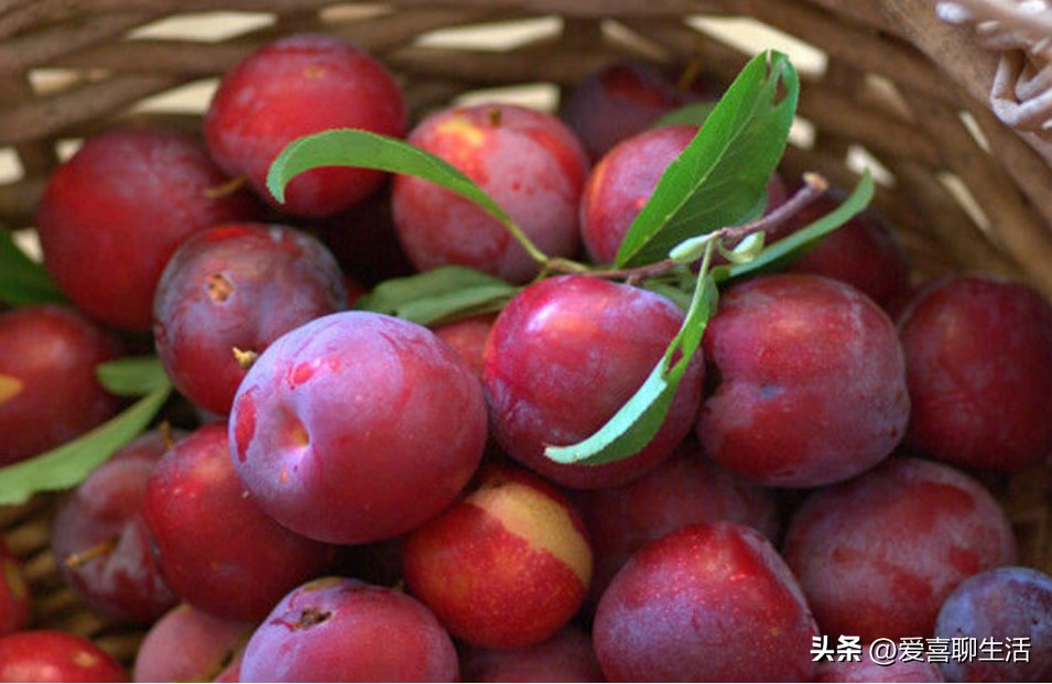 吃什么水果能补维硒元素