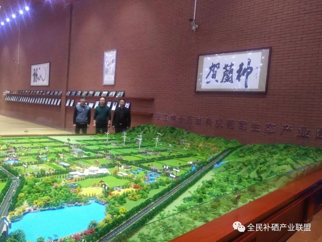 全民补硒工程是什么时间