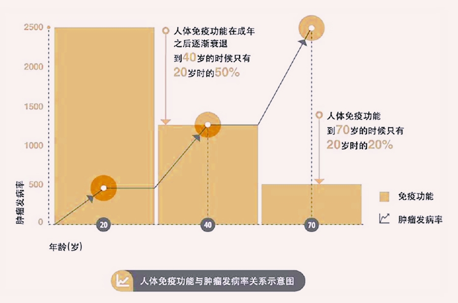 什么食物补硒提高免疫力