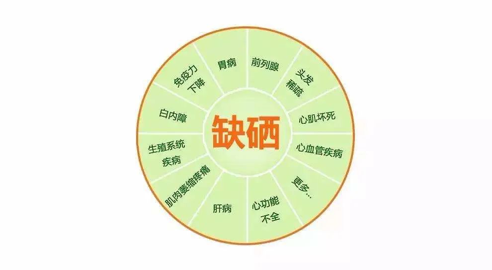 10岁要补多少微克硒水