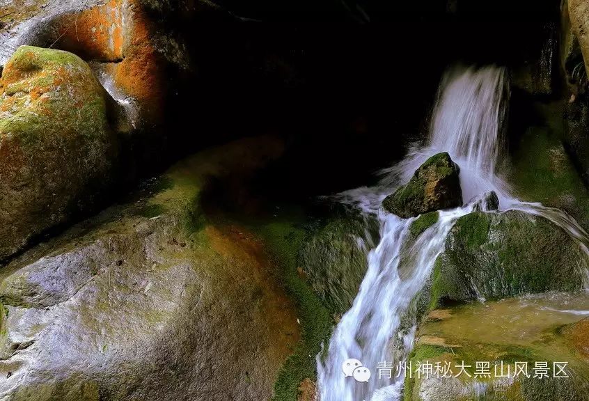 10岁要补多少微克硒水