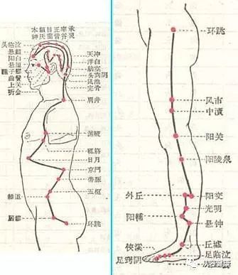 骨关节病为什么要补硒呢(硒与骨关节?。?硒宝网