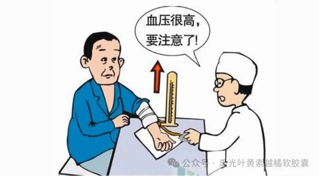 出血病人能补硒吗吃什么