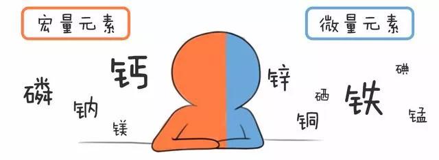 血液中铬硒钼钴少如何补
