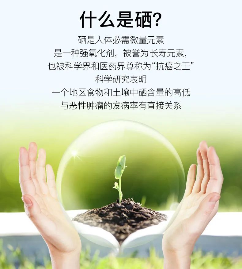 硒片补硒推荐哪种好一点