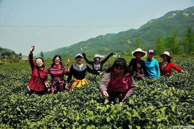 癌细胞入侵肝脏，指甲会有这个“反应”，若没有，说明肝脏很健康