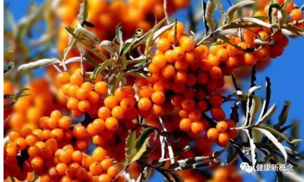 硒能补视网膜感光材料吗