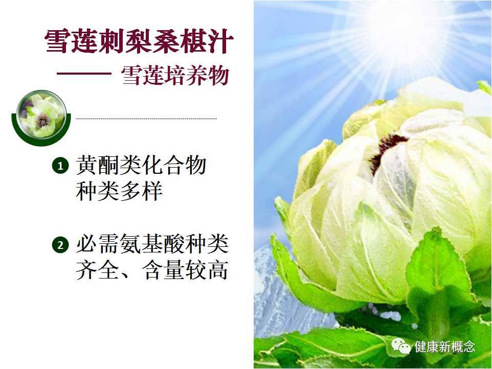 硒能补视网膜感光材料吗