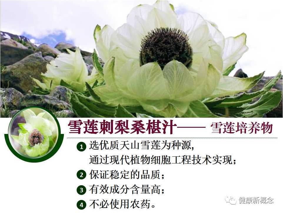 硒能补视网膜感光材料吗