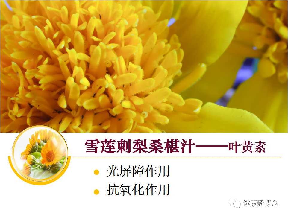 硒能补视网膜感光材料吗
