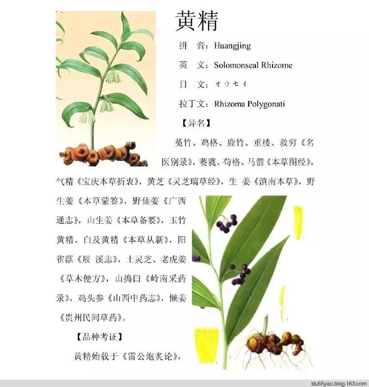 适量补硒对肝肾有损伤吗