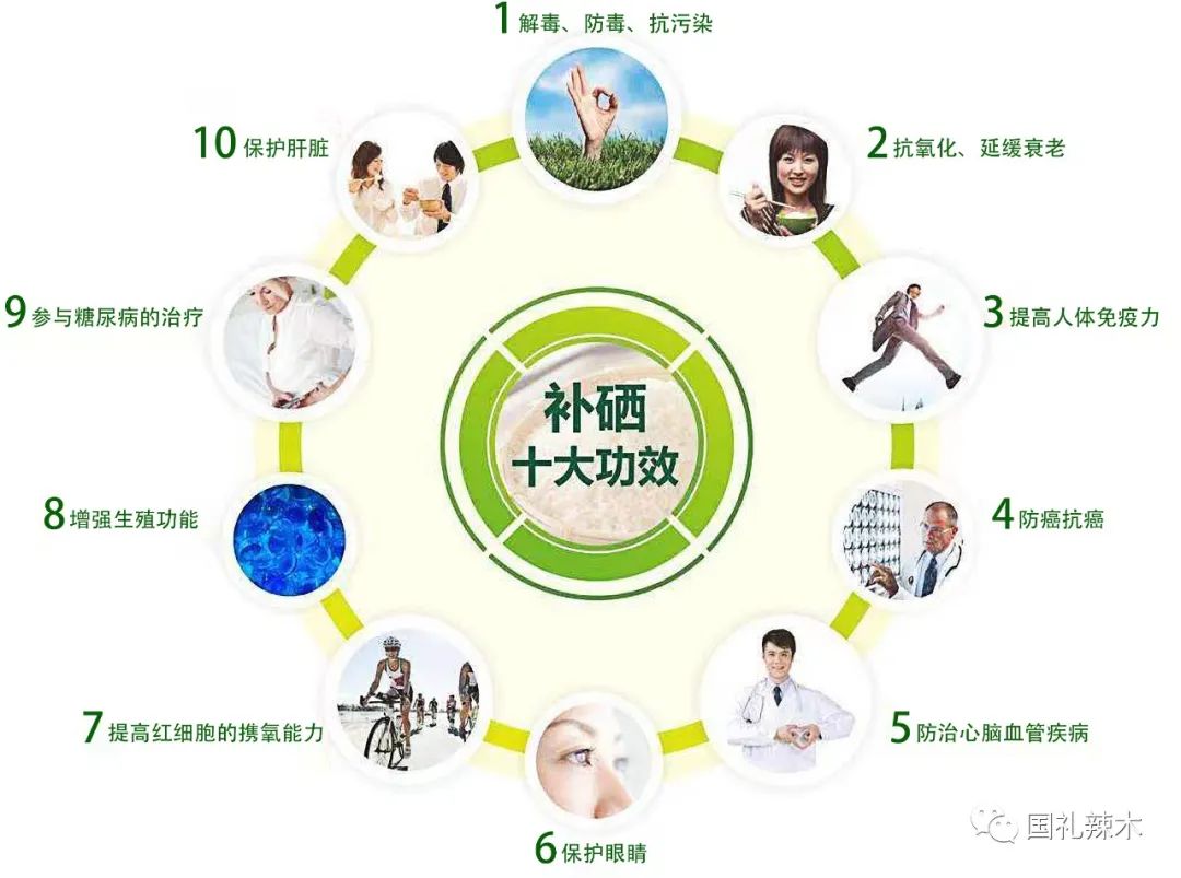 适量补硒对肝肾有损伤吗