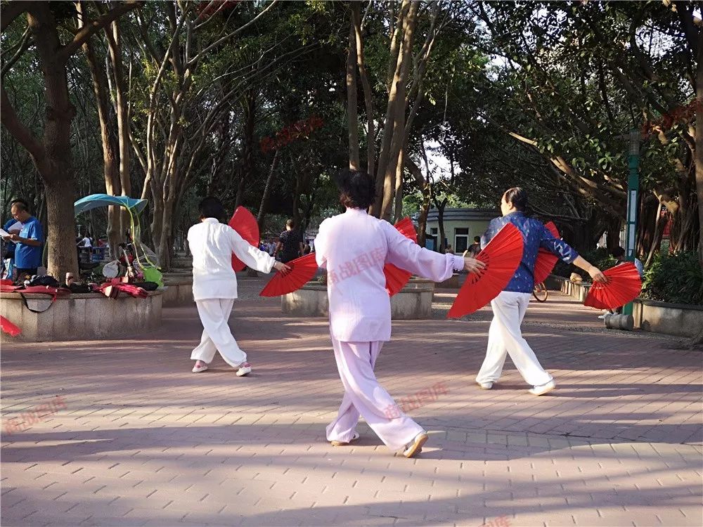 每天补硒25毫克可以吗