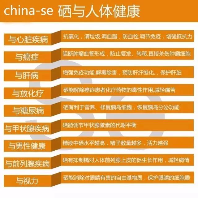 中国中医科学院全民补硒(中国全民科学补硒大会)-硒宝网
