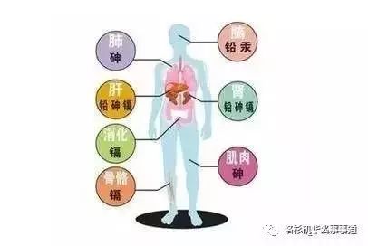 中国中医科学院全民补硒