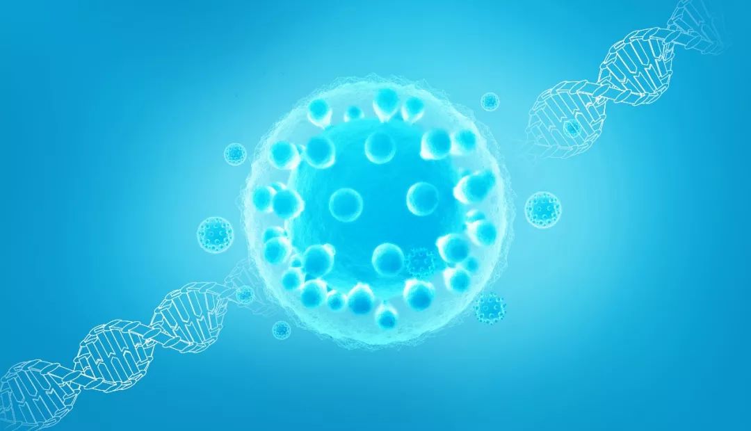 甲亢用不用补硒的维生素(用维生素补甲亢硒可以吗)-硒宝网