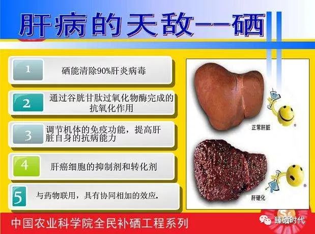 了解一下关于补硒的知识