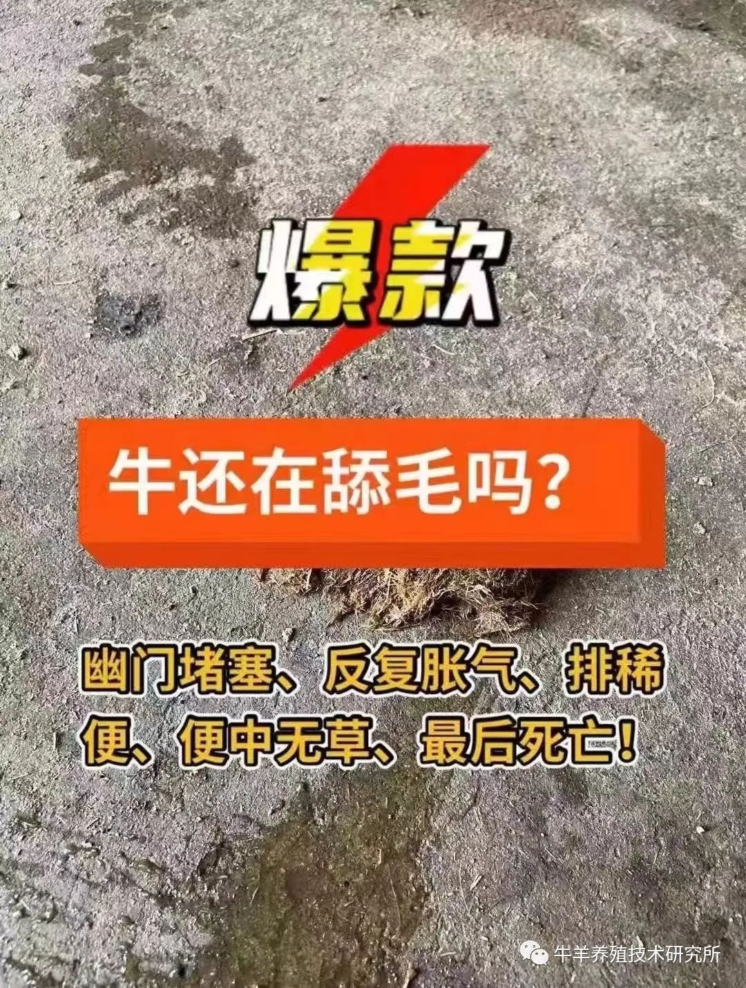羊缺镁铜硒可以一起补吗