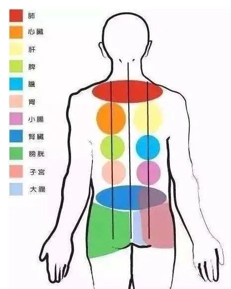 补硒对五脏六腑作用功效