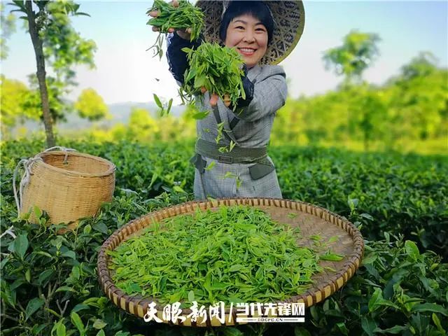 安顺富硒农产品认证标准