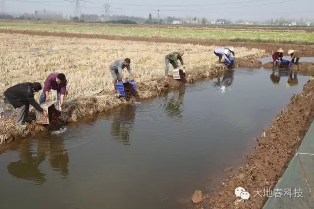 富硒农产品种植技术要点