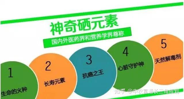 富硒产品发展的未来规划