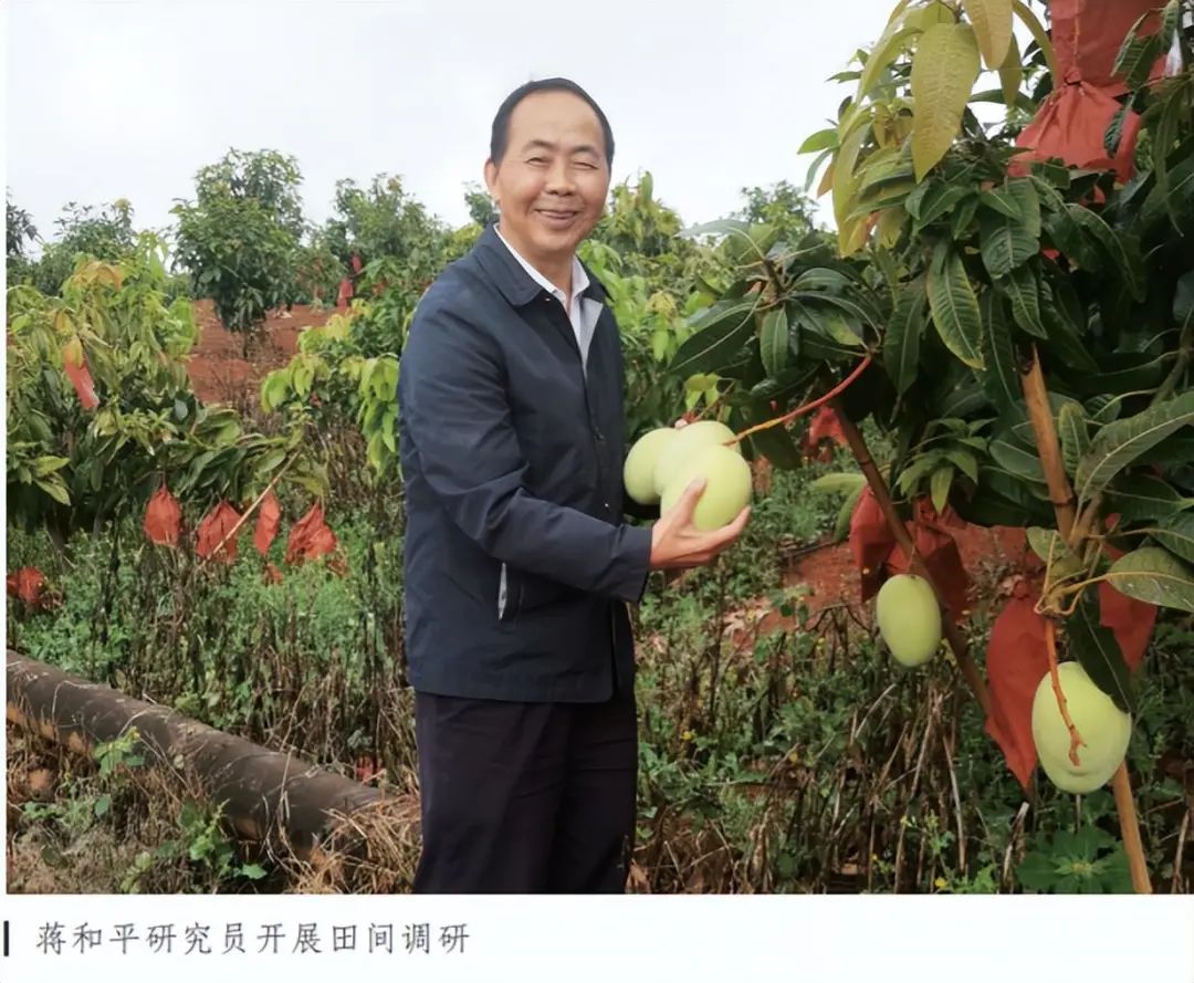 怎么卖富硒粮食产品挣钱