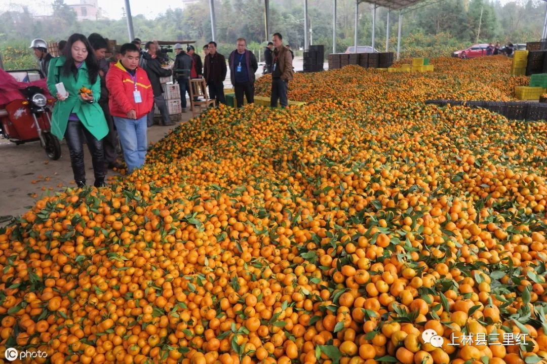 南宁富硒农产品基地数量
