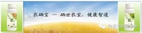 富硒农产品权威检测机构