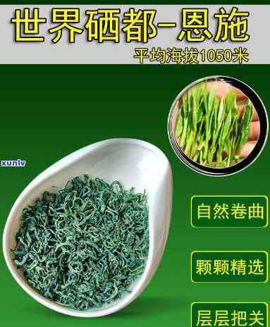 恩富硒茶是什么茶叶，什么是恩富硒茶？了解这种独特的茶叶品种！