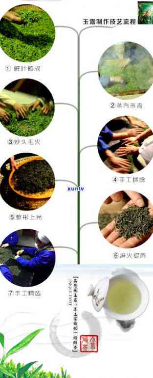 恩富硒茶的功效和作用，探究恩富硒茶的神奇功效与作用