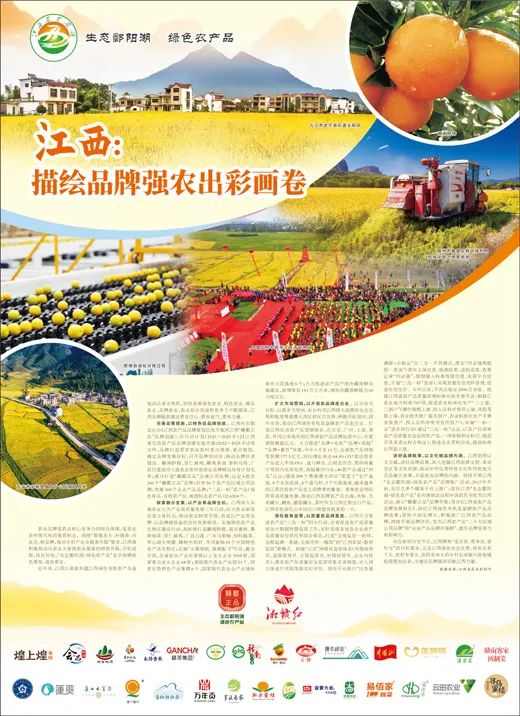 公司富硒农产品营销方案