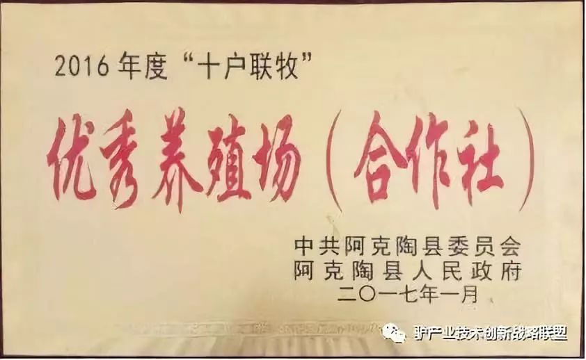 富硒冻干食品有哪些产品