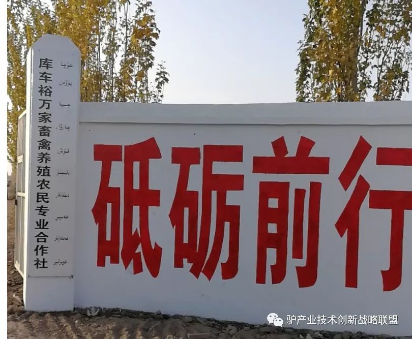 富硒冻干食品有哪些产品