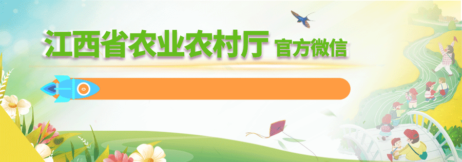 富硒农产品技术推广总结