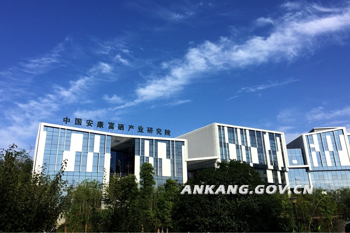 安康富硒农产品交易中心