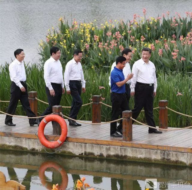 广西富硒农产品认证程序