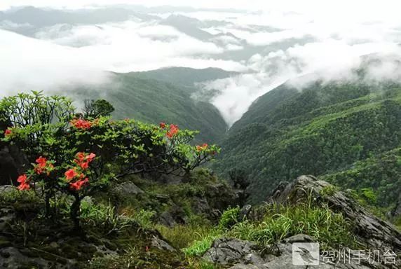 广西富硒农产品认证程序