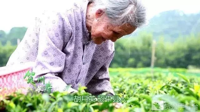 广西富硒农产品认证程序