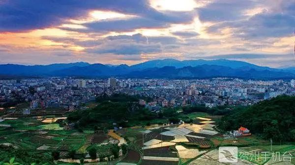 广西富硒农产品认证程序
