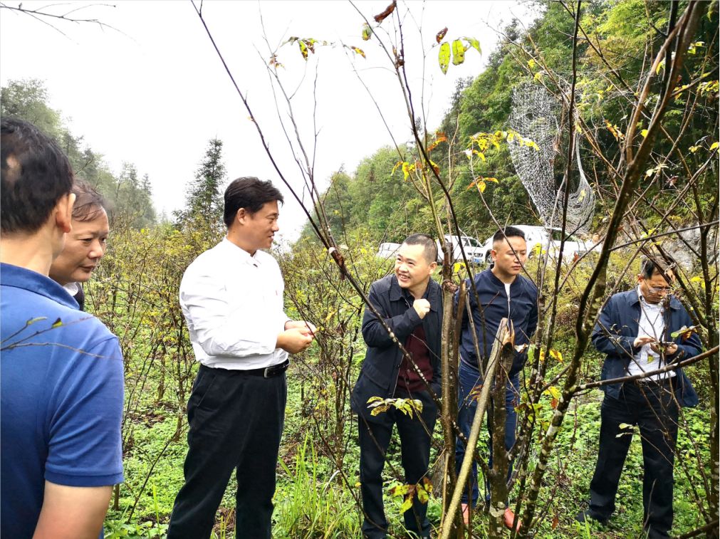 富硒产品认证标准是什么