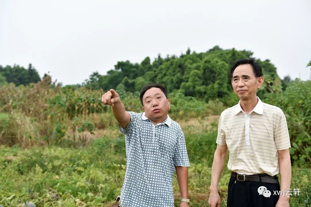 消费者对富硒产品的态度